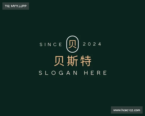 了解贝斯特